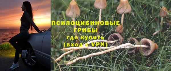 гидра Нефтекумск